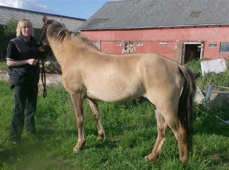 Anden særlig race MIsti "død" billede 11