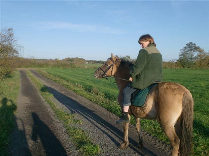 Anden særlig race MIsti "død" billede 14