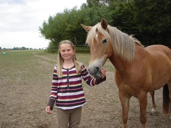Anden særlig race KEEBE - KEEBE på fold billede 7