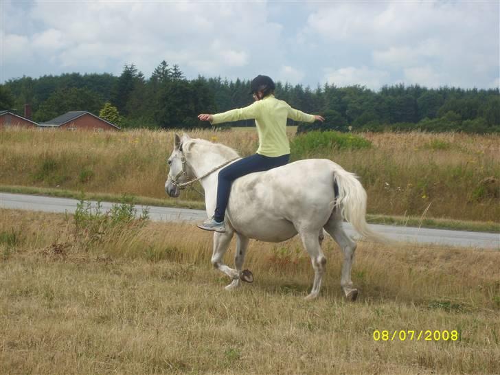 Anden særlig race Miss Jackie *gamle part* - alle jer der har svært ved at ride jeres hest pga den er for ilter . smid udstyr rid grime og trækketov foto - camilla :) billede 14