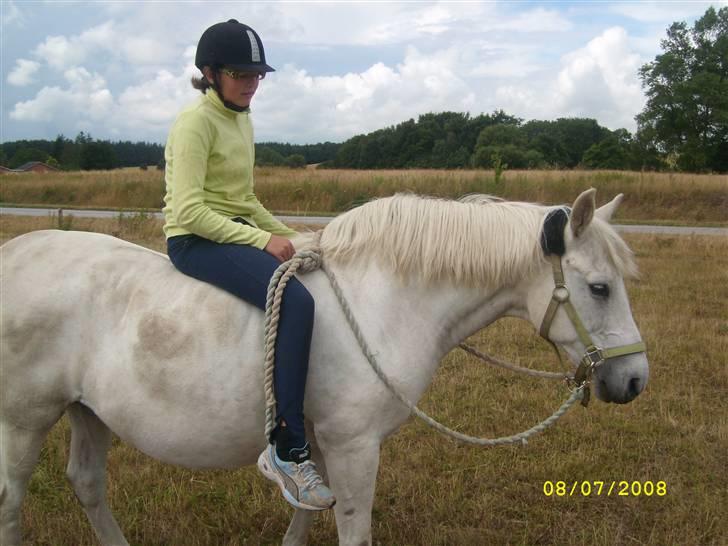 Anden særlig race Miss Jackie *gamle part* billede 15