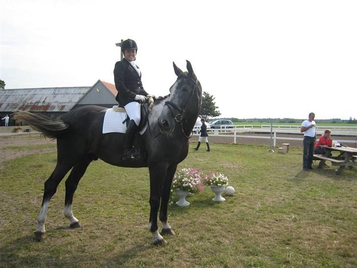 Anden særlig race ontario >--Aflivet--< billede 13