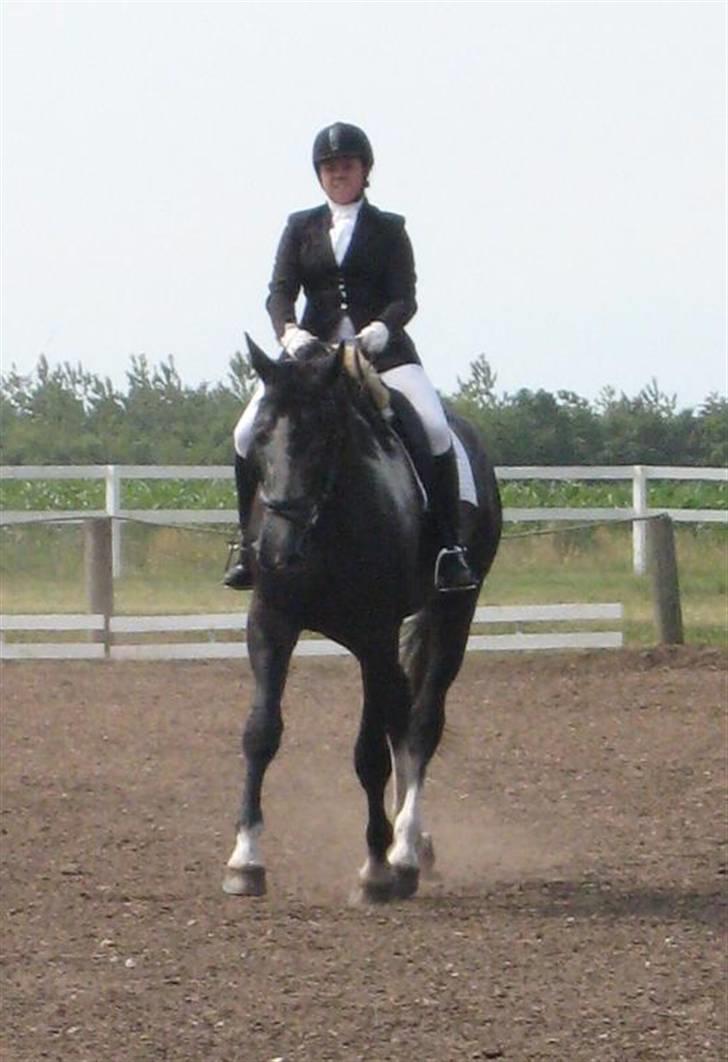 Anden særlig race ontario >--Aflivet--< billede 15