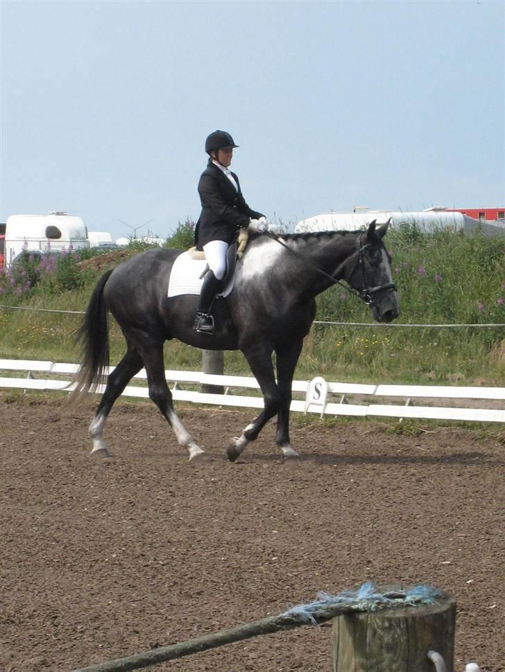 Anden særlig race ontario >--Aflivet--< billede 17