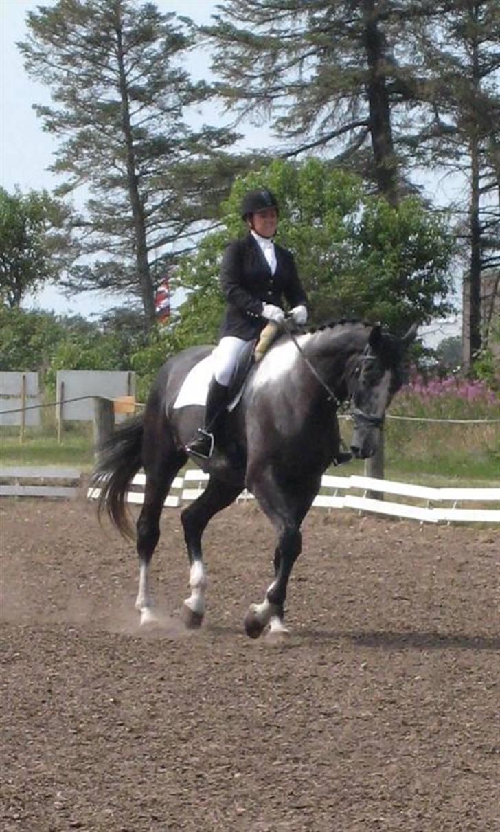 Anden særlig race ontario >--Aflivet--< billede 18