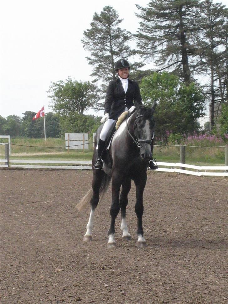 Anden særlig race ontario >--Aflivet--< billede 19