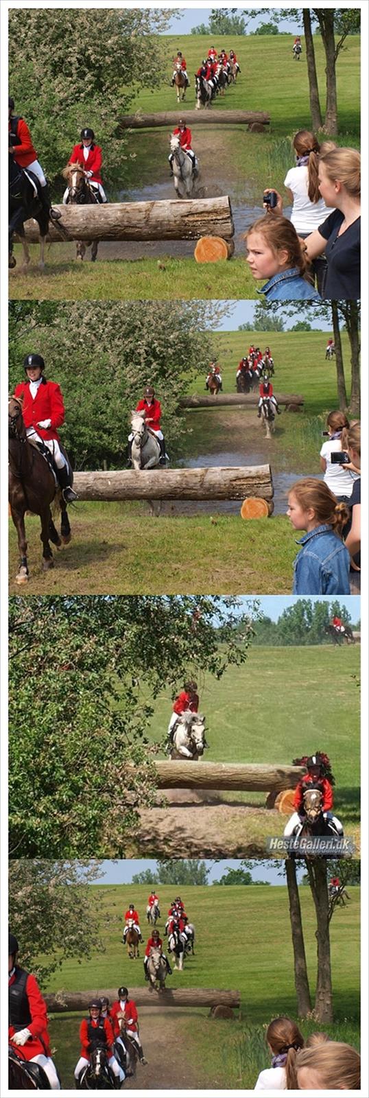 Anden særlig race Clinton [solgt] - Til jagt ;D Lige før vi rider ned i søen :) !!!! billede 19