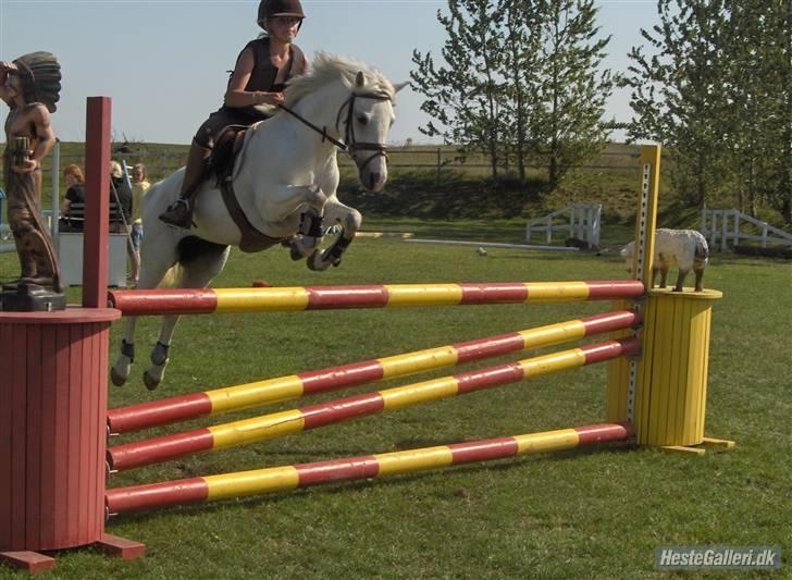 Anden særlig race Rævhalegårds Snowstar - Øhh lidt stort. billede 15