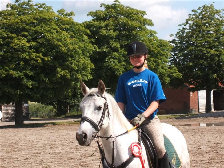 Anden særlig race Napoleon rideskole!SOLGT  - Han er min lille pony ;b<3 billede 13