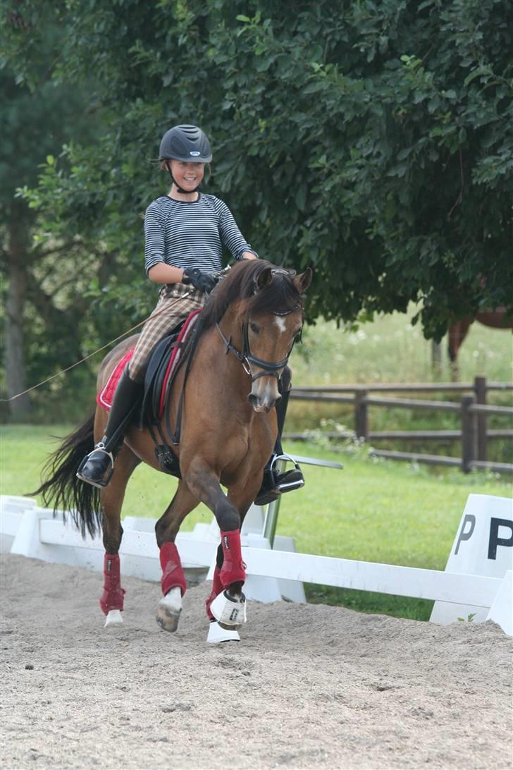 Anden særlig race Mitsy !Solgt! - på HVL :) billede 8