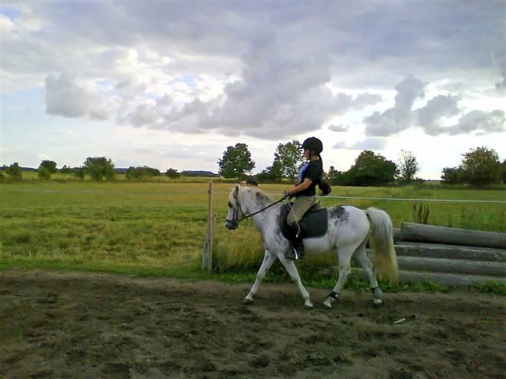 DSP Edens Samson - when I´m with you i can fly without my wings <3 billede 12