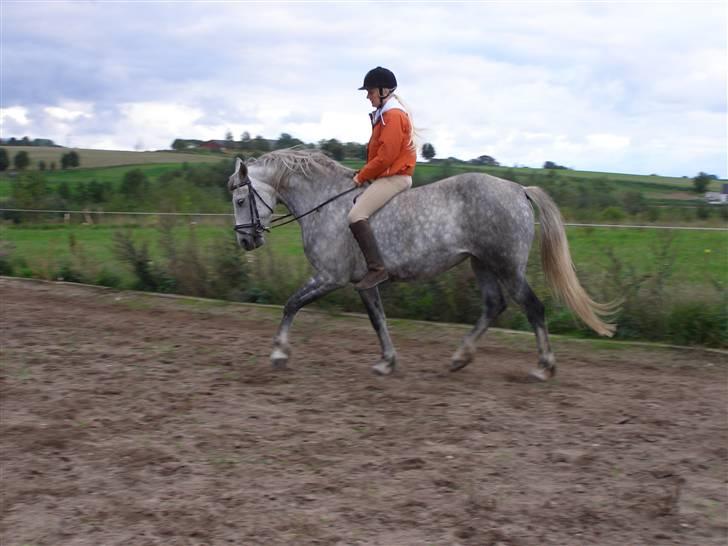 Cruzado Tira billede 4