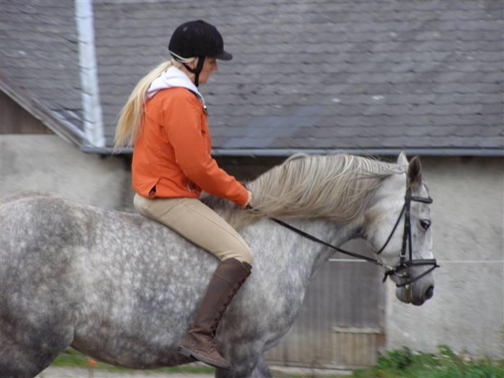 Cruzado Tira billede 5