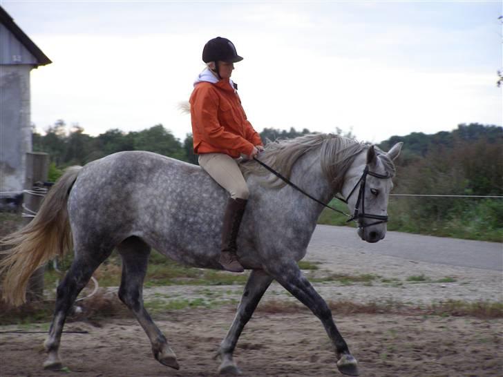 Cruzado Tira billede 6