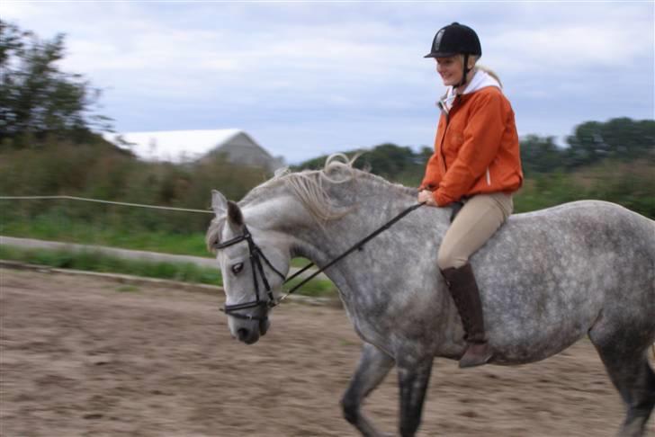 Cruzado Tira billede 7