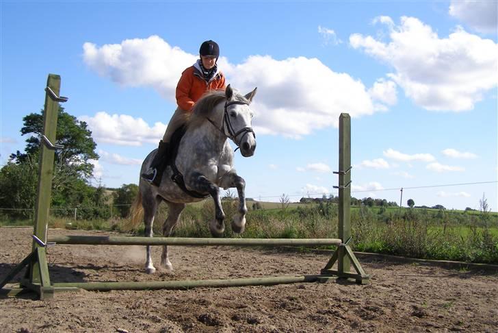 Cruzado Tira billede 11