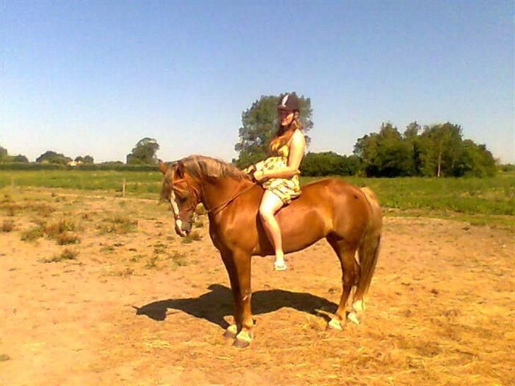 Anden særlig race Østergårdens Easy - solgt - hjemme på marken <3 jeg elsker hende over alt !!! billede 19