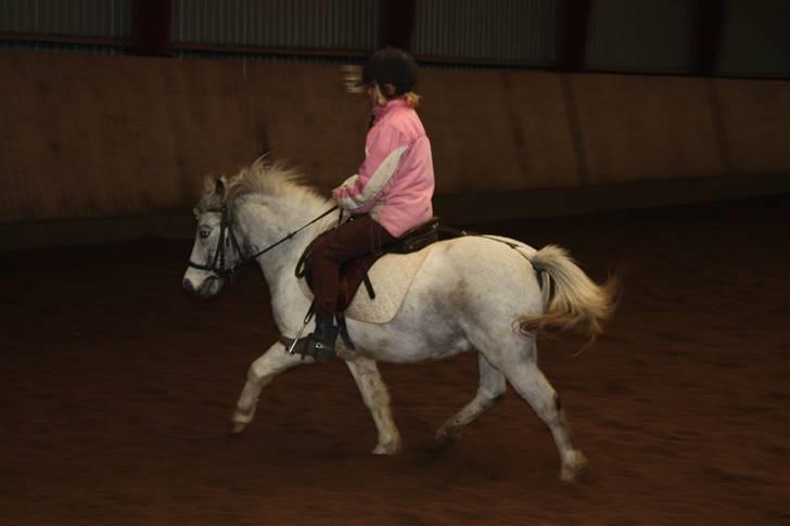 Anden særlig race Bonanza / Fræk af delle xD - Det er bare blevet så flot billedet;) billede 7