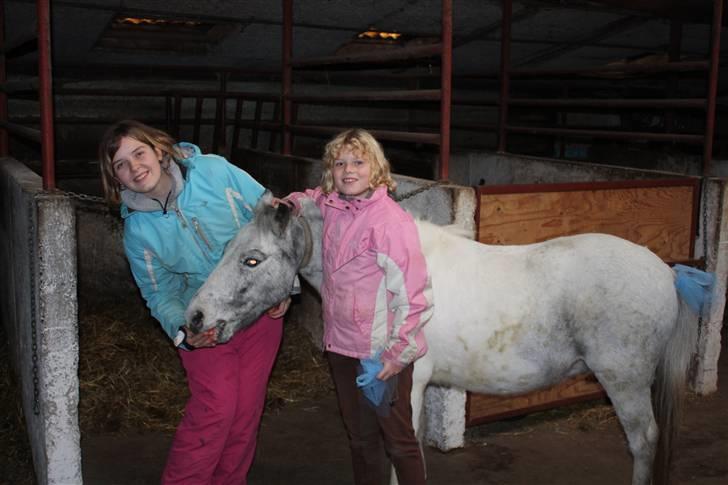 Anden særlig race Bonanza / Fræk af delle xD - Den dag der jeg fik ham RIGTIG dejlig dag ! =) billede 8
