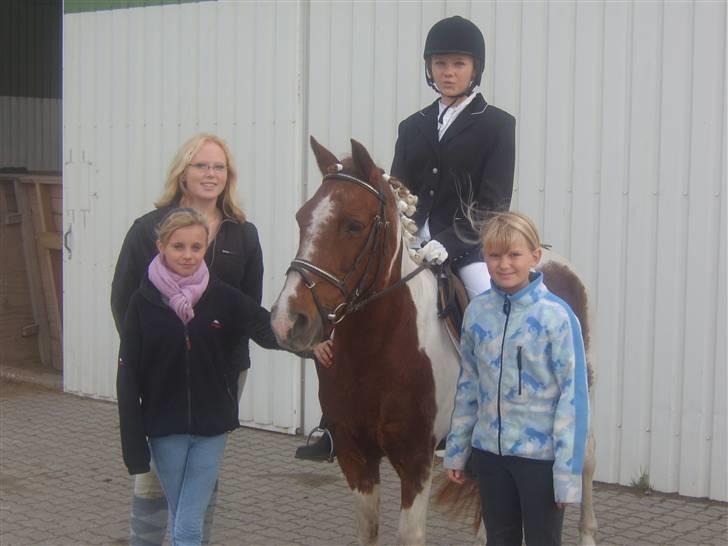 Pinto Bella - stævne nov. 07 billede 2