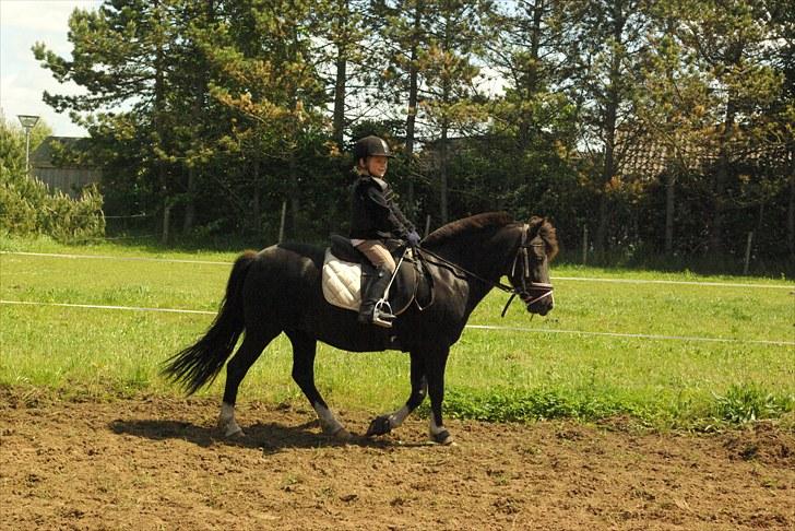 DSP Sofie RT - Den 13-6-10 billede 5