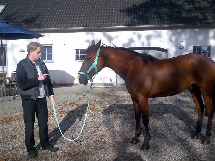 Traver Gi Vert *SOLGT* - Min mand som holder Gi vert, vi skulle lige se hvor fin han var med ny grime og matchene træktov billede 19