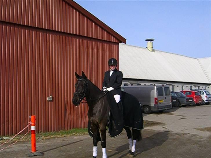 Traver Galaxen * SOLGT *  - se lige mine muskler :D billede 18