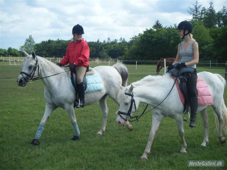 DSP ottelia - marzia og samiha og mig og ottelia skridter af sammen:) billede 8