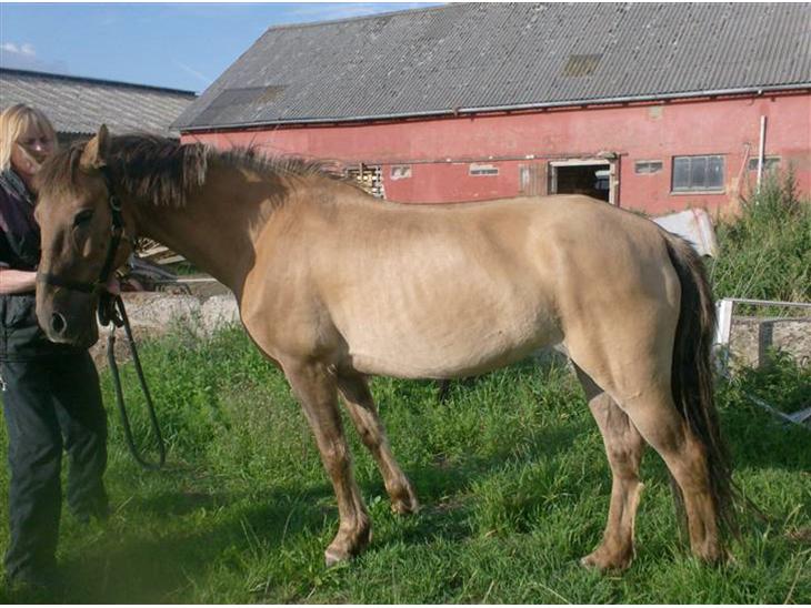 {{currentPhoto.altText}} billede {{currentPhoto.number}}