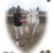 Connemara Gry Landlyst 