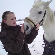 Connemara Gry Landlyst 