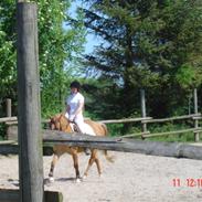 Anden særlig race Buster*rider*R.I.P