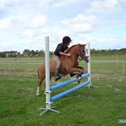 Anden særlig race Fannik'ilu'savner dig<3*;