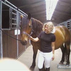 Anden særlig race Don slgt