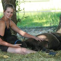 DSP moonjam´s classic touch 