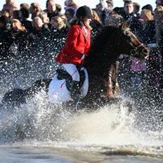 Anden særlig race Chanel - Solgt