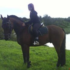 Traver Fasten Seat Belt  R.I.P.