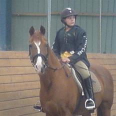 Anden særlig race Robin 