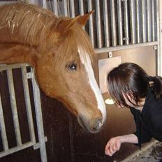 Anden særlig race Sputnik 