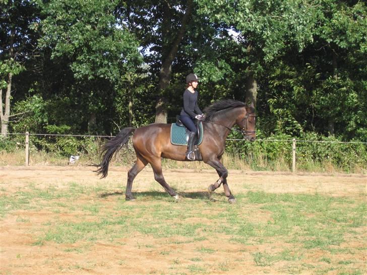 Holstener Dominique- *RIP* billede 15