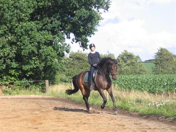 Holstener Dominique- *RIP* billede 16