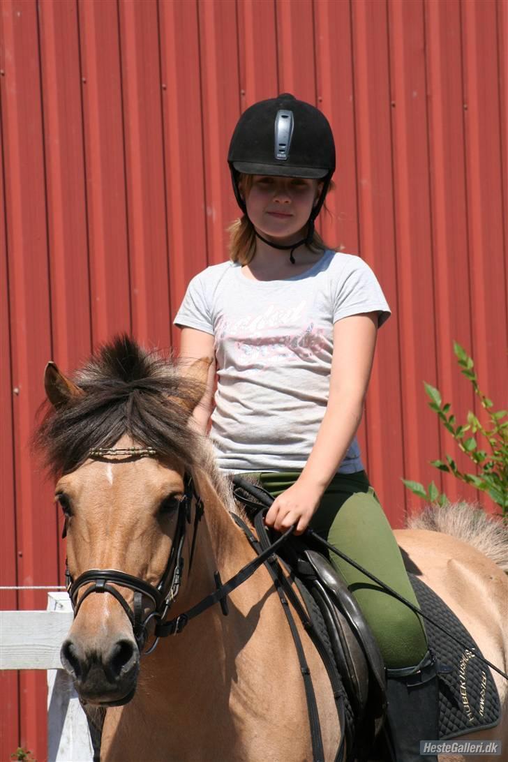 Anden særlig race Carla |  *! SOLGT :'( !* - Carla jeg elsker dig uden at glemme dig ( billed: Lone P billede 17