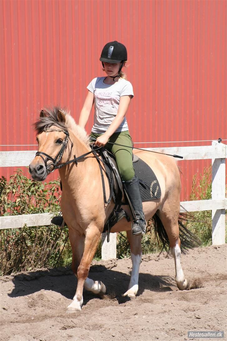 Anden særlig race Carla |  *! SOLGT :'( !* - Min skat ( billed: Lone P billede 18