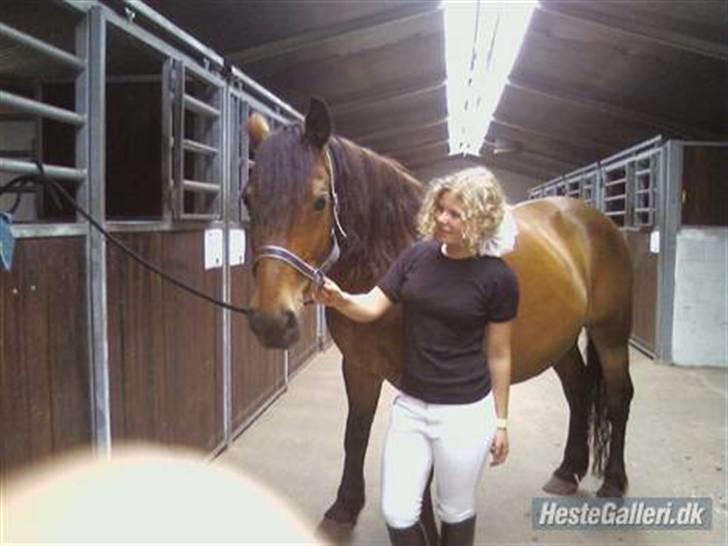 Anden særlig race Don slgt billede 3