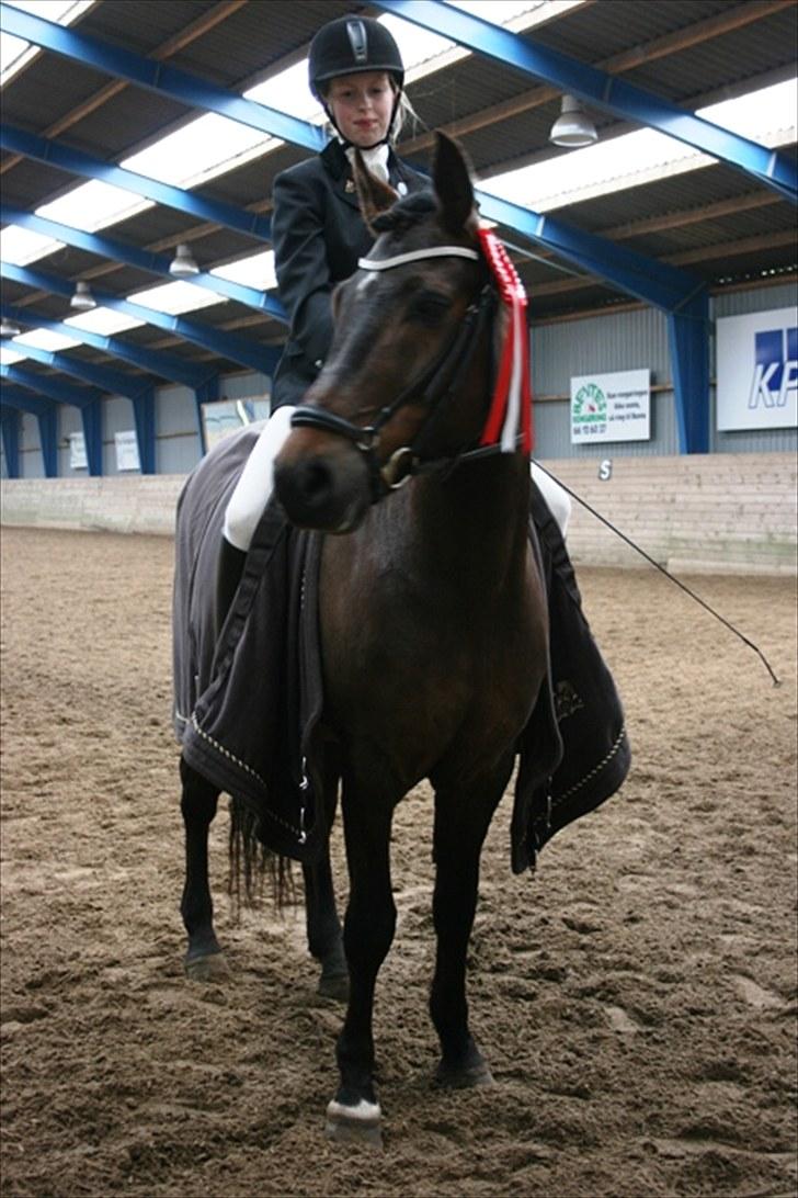 New Forest Bjørndal's Artist - 1 plads LA4 til ca. 65% TLR billede 10