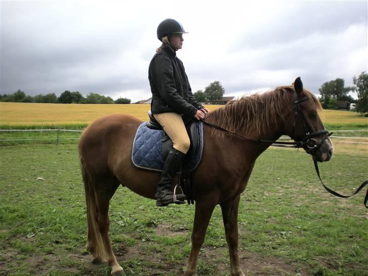 DSP Kenzo (solgt) billede 7