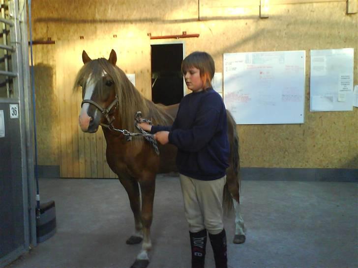 Anden særlig race Frede - Stalden billede 6