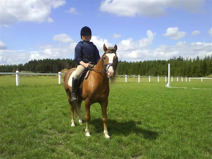 Anden særlig race Frede - Sinita red udenfor på mig efter seriøs ridning billede 7