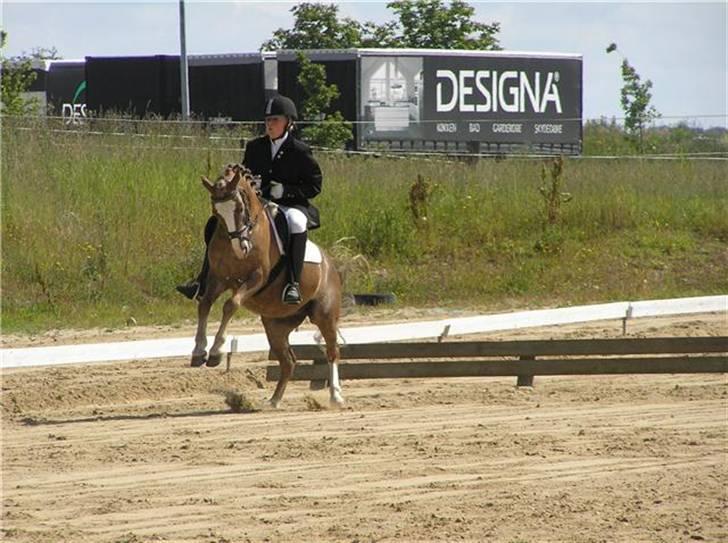 Anden særlig race Frede - Lc2 i kjellerup Måtte gi op da han bukkede extremt taget af fredes tidliger ejer Inge sommer billede 11