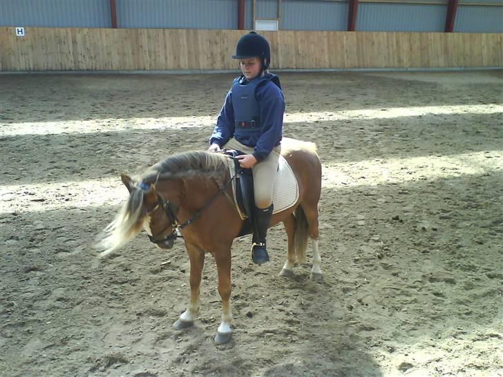 Anden særlig race Frede - Min pandelok flyver ;) billede 14